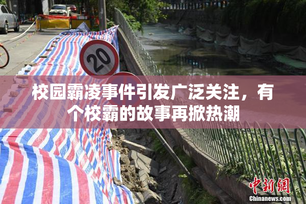 校园霸凌事件引发广泛关注，有个校霸的故事再掀热潮