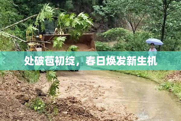 处破苞初绽，春日焕发新生机