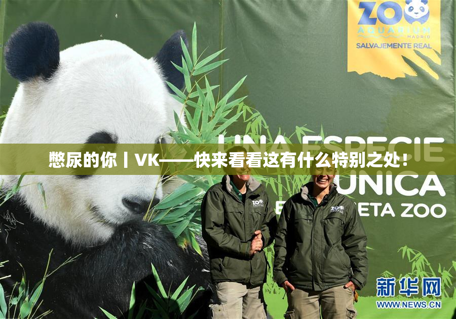 憋尿的你丨VK——快来看看这有什么特别之处！