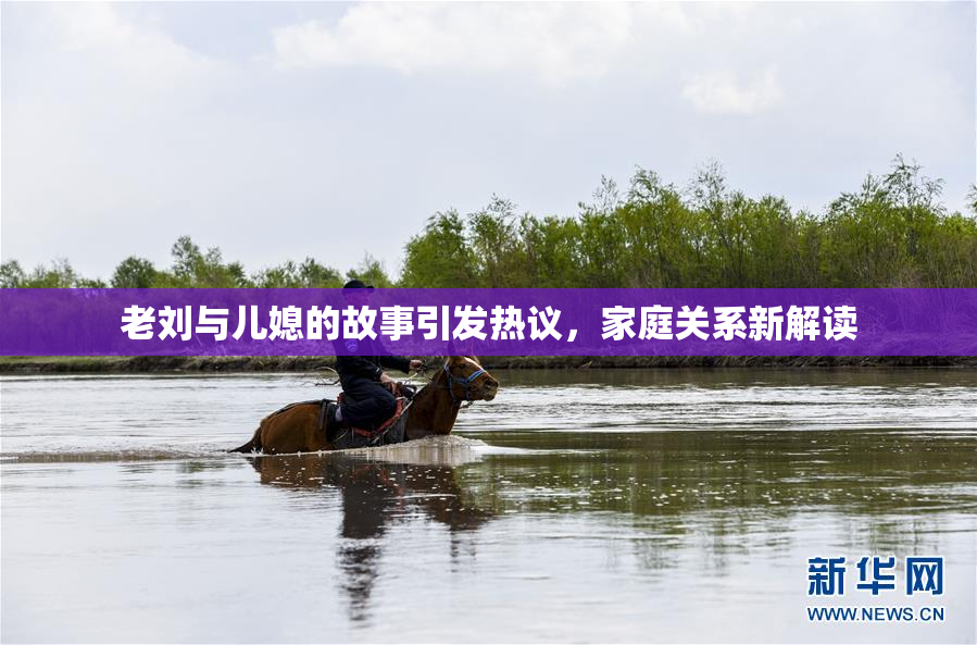 老刘与儿媳的故事引发热议，家庭关系新解读