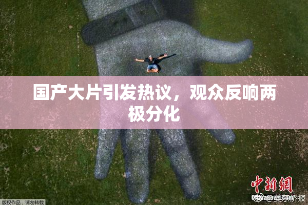 国产大片引发热议，观众反响两极分化