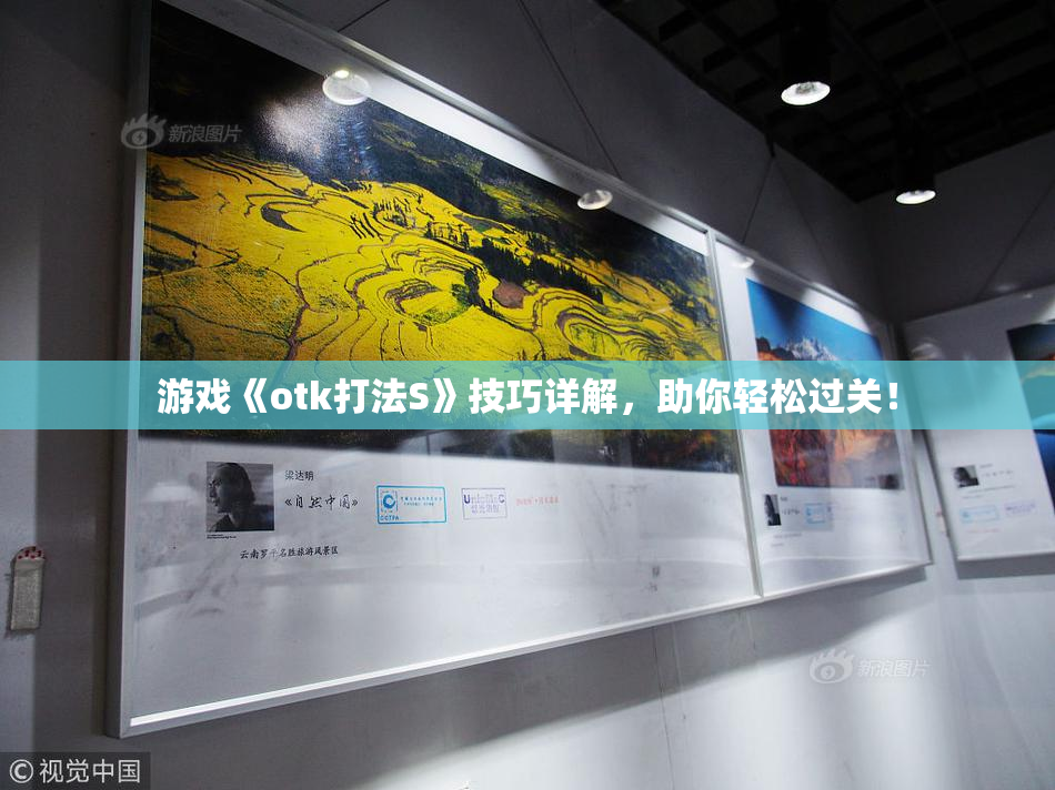 游戏《otk打法S》技巧详解，助你轻松过关！