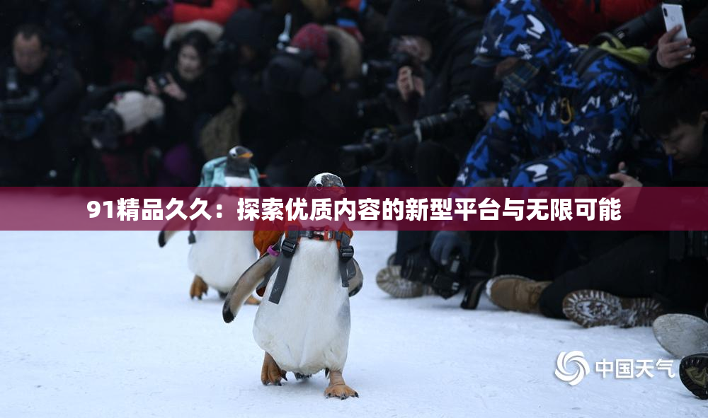 91精品久久：探索优质内容的新型平台与无限可能
