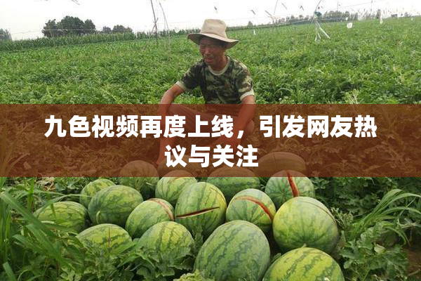 九色视频再度上线，引发网友热议与关注