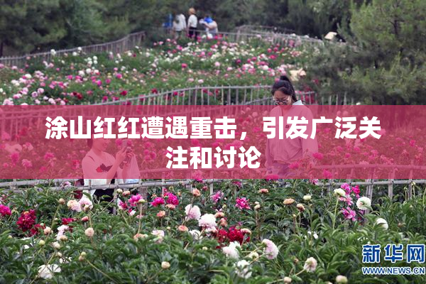 涂山红红遭遇重击，引发广泛关注和讨论