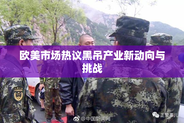 欧美市场热议黑吊产业新动向与挑战