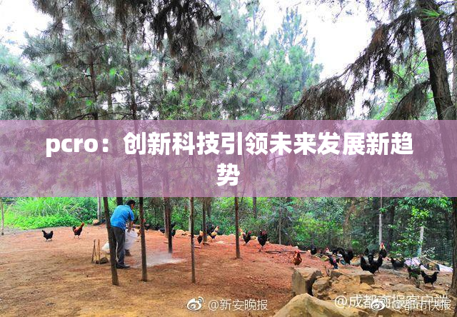 pcro：创新科技引领未来发展新趋势