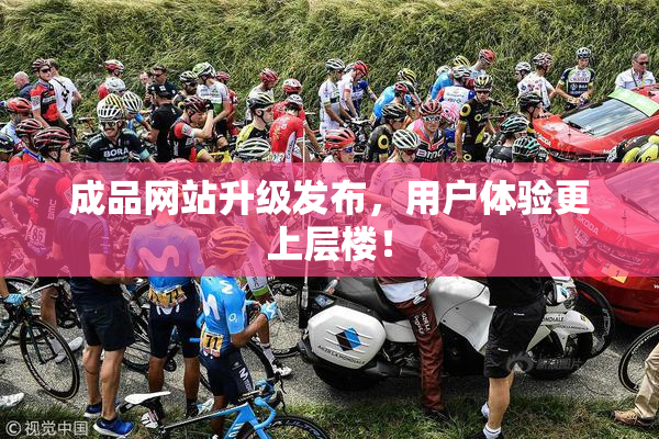成品网站升级发布，用户体验更上层楼！