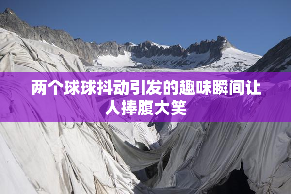 两个球球抖动引发的趣味瞬间让人捧腹大笑