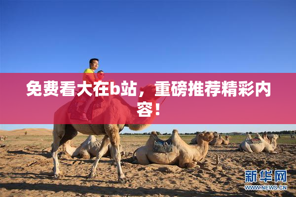 免费看大在b站，重磅推荐精彩内容！