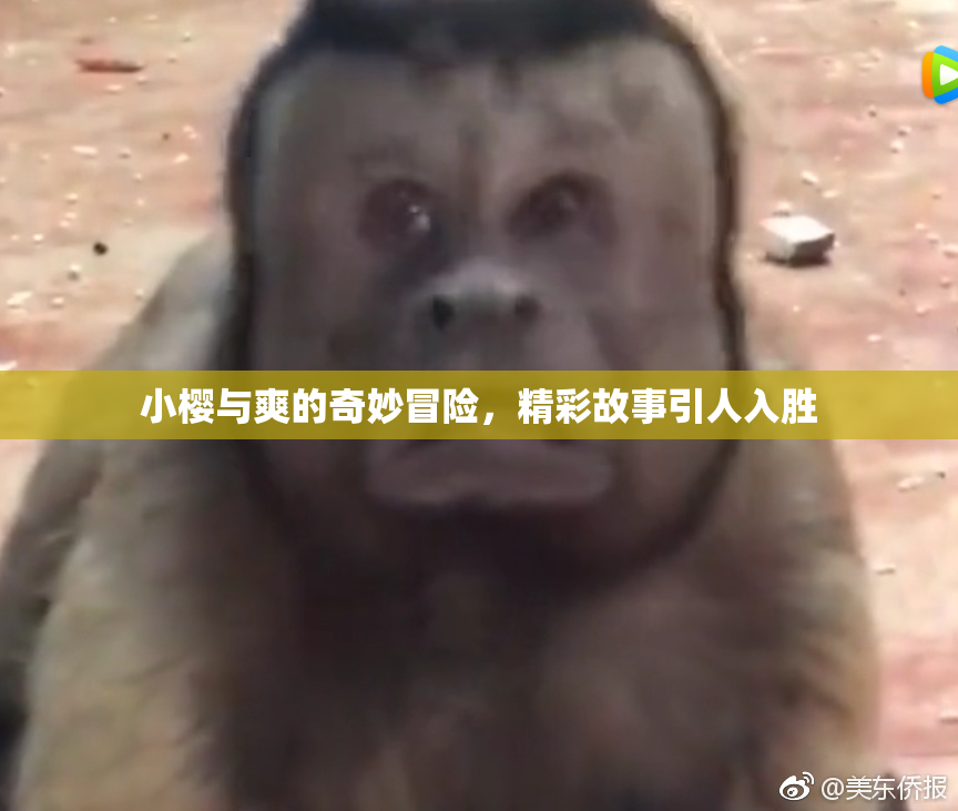 小樱与爽的奇妙冒险，精彩故事引人入胜