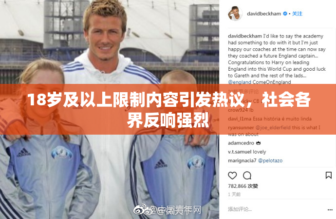 18岁及以上限制内容引发热议，社会各界反响强烈