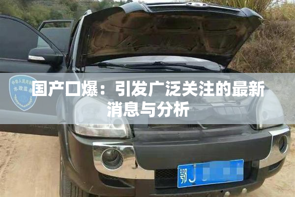 国产囗爆：引发广泛关注的最新消息与分析