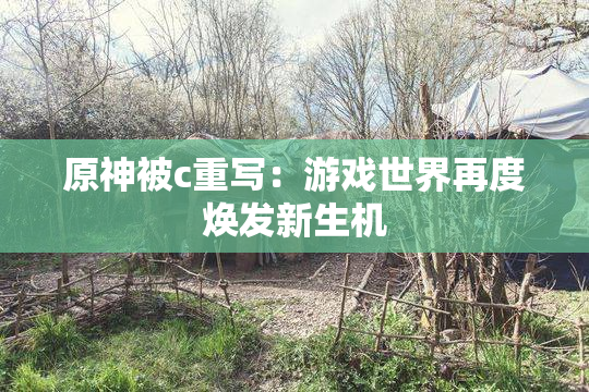 原神被c重写：游戏世界再度焕发新生机