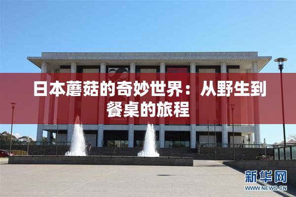日本蘑菇的奇妙世界：从野生到餐桌的旅程