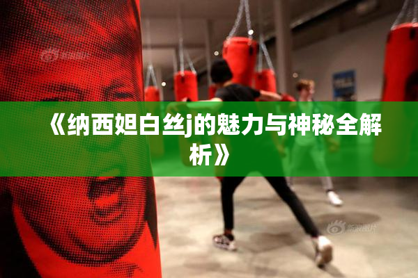 《纳西妲白丝j的魅力与神秘全解析》