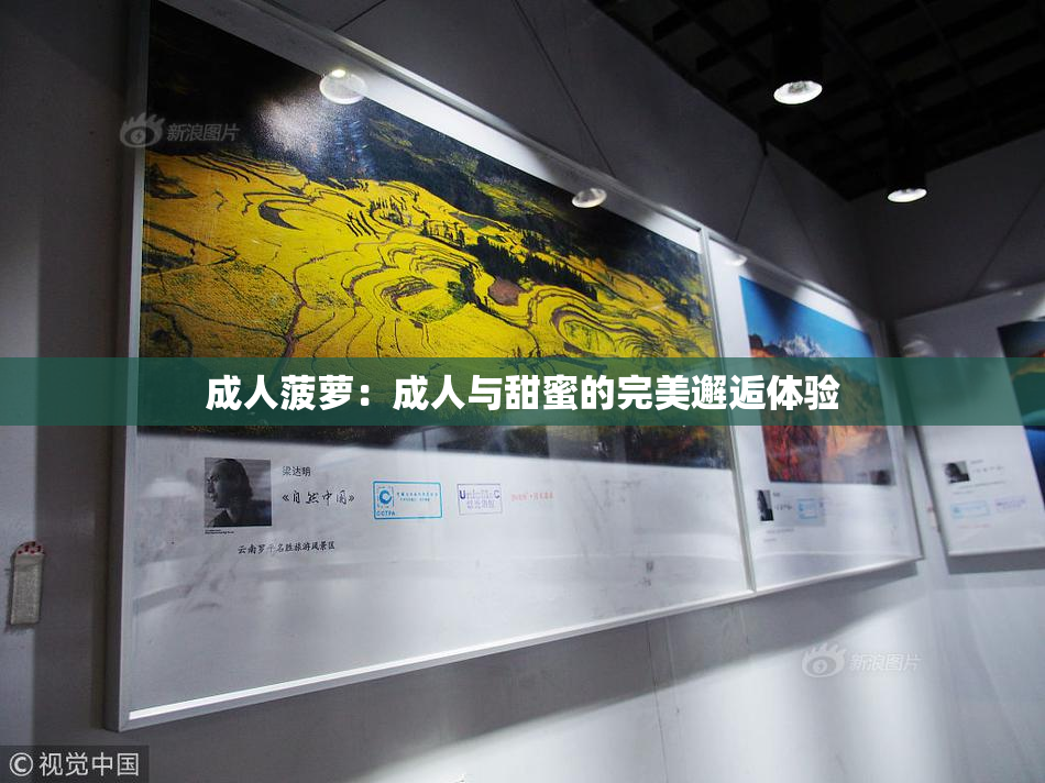 成人菠萝：成人与甜蜜的完美邂逅体验