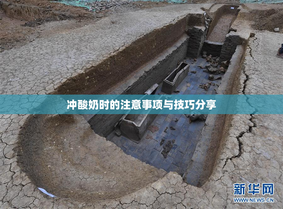 冲酸奶时的注意事项与技巧分享