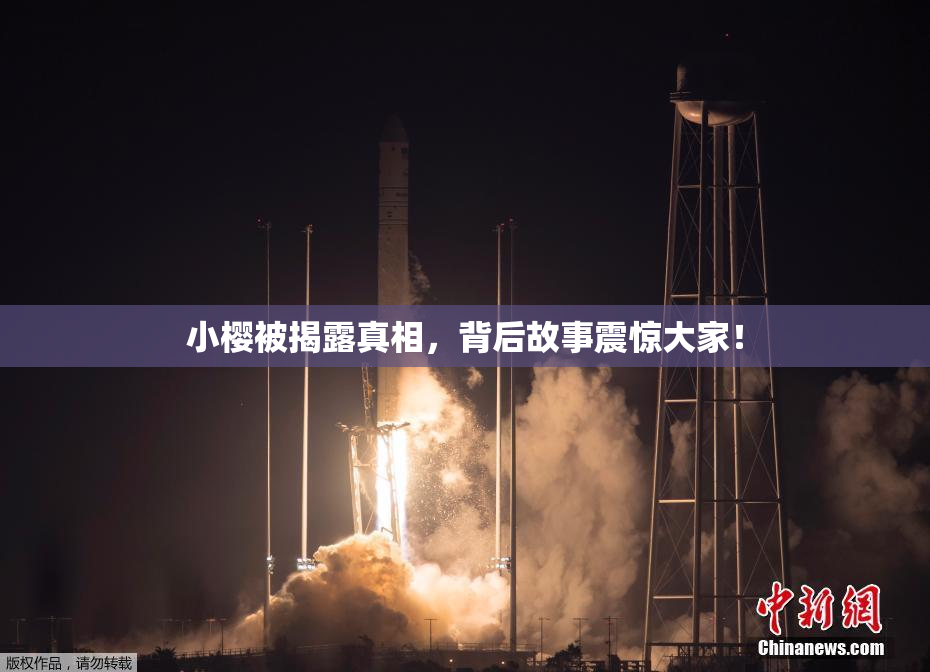 小樱被揭露真相，背后故事震惊大家！