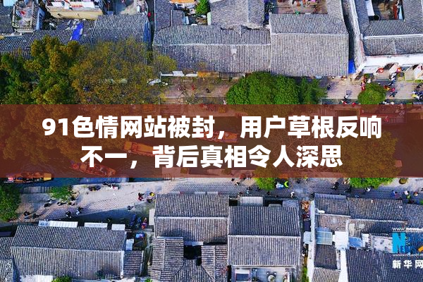 91色情网站被封，用户草根反响不一，背后真相令人深思