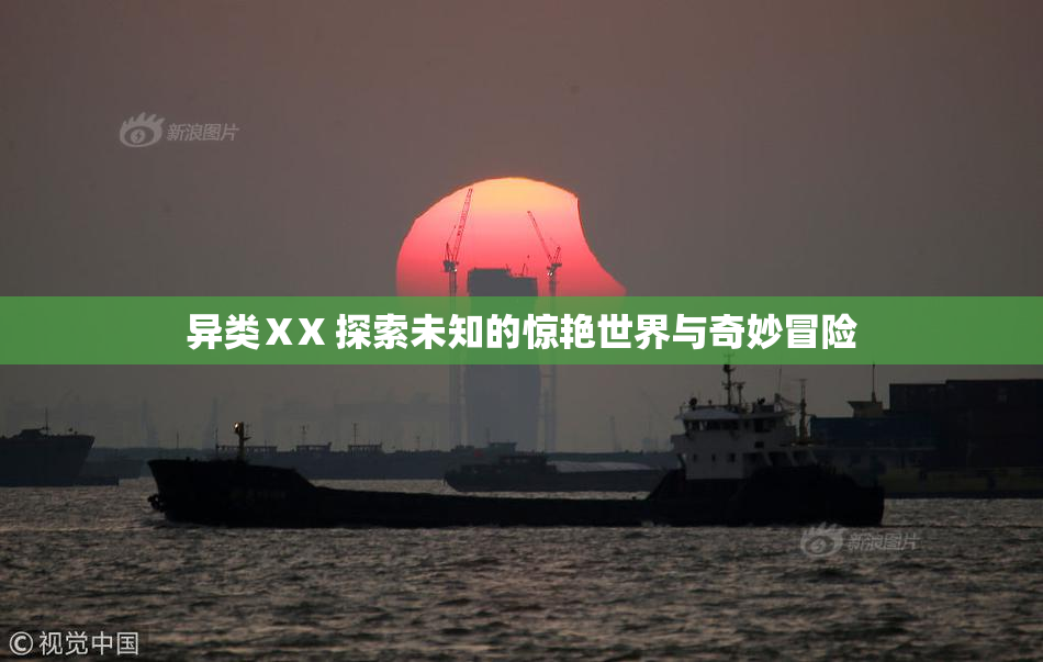 异类ⅩX 探索未知的惊艳世界与奇妙冒险
