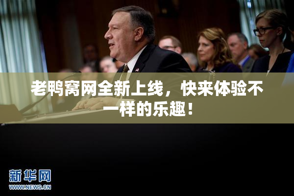 老鸭窝网全新上线，快来体验不一样的乐趣！