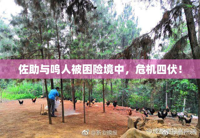 佐助与鸣人被困险境中，危机四伏！
