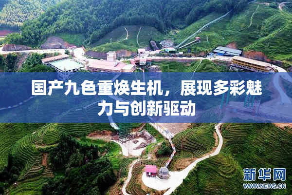 国产九色重焕生机，展现多彩魅力与创新驱动