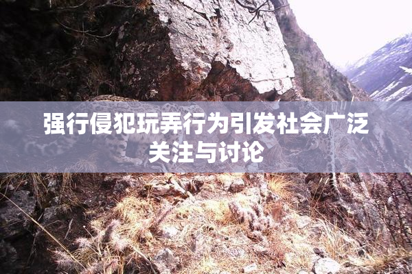 强行侵犯玩弄行为引发社会广泛关注与讨论