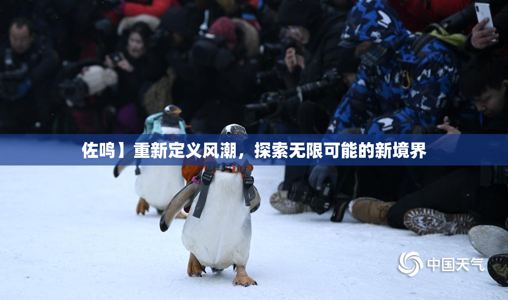 佐鸣】重新定义风潮，探索无限可能的新境界