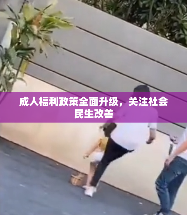 成人福利政策全面升级，关注社会民生改善