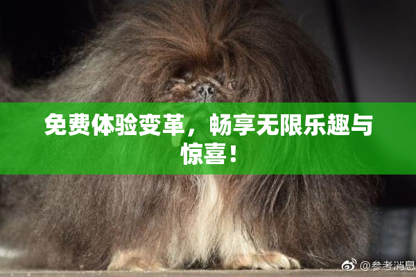 免费体验变革，畅享无限乐趣与惊喜！