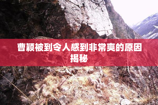 曹颖被到令人感到非常爽的原因揭秘