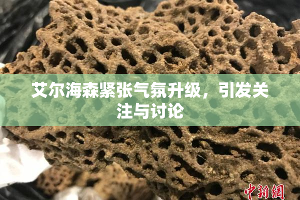 艾尔海森紧张气氛升级，引发关注与讨论