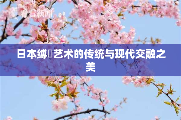 日本缚縄艺术的传统与现代交融之美