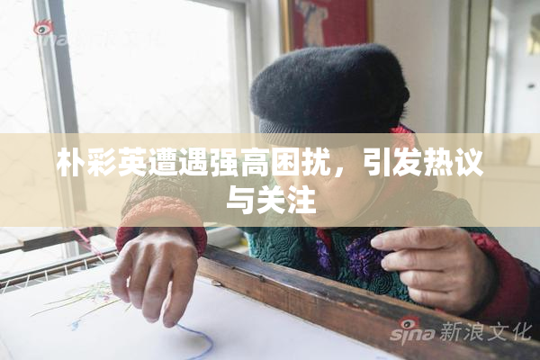 朴彩英遭遇强高困扰，引发热议与关注