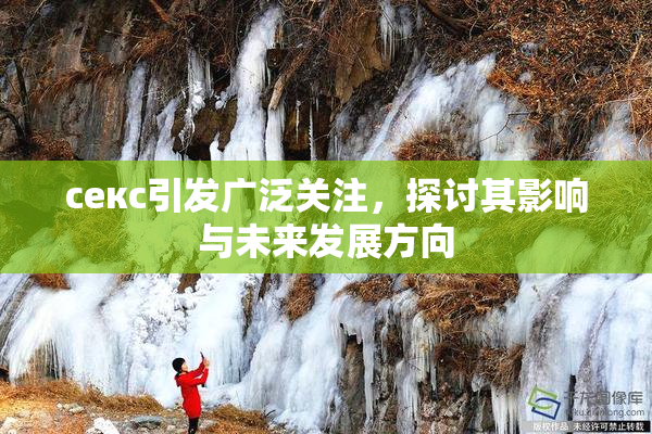 ceкс引发广泛关注，探讨其影响与未来发展方向
