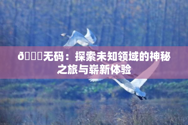 🔞无码：探索未知领域的神秘之旅与崭新体验