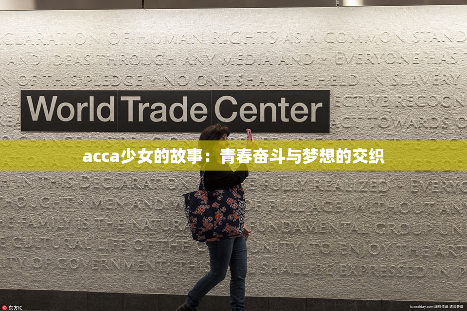 acca少女的故事：青春奋斗与梦想的交织