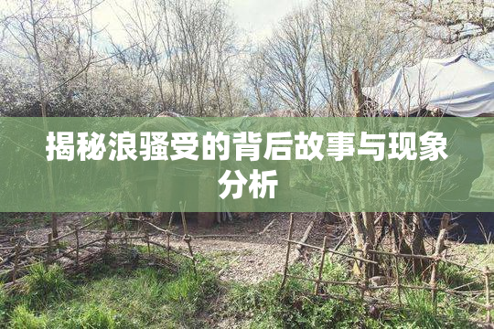揭秘浪骚受的背后故事与现象分析