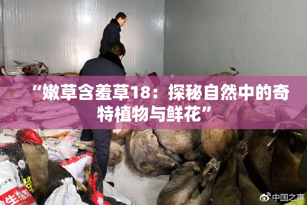 “嫩草含羞草18：探秘自然中的奇特植物与鲜花”