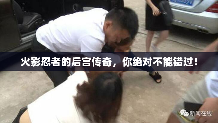 火影忍者的后宫传奇，你绝对不能错过！
