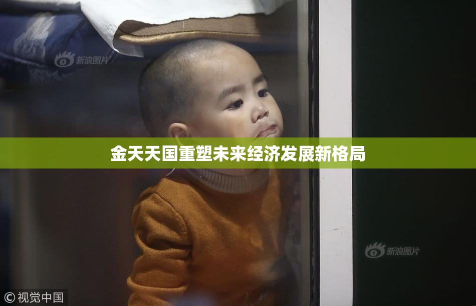 金天天国重塑未来经济发展新格局