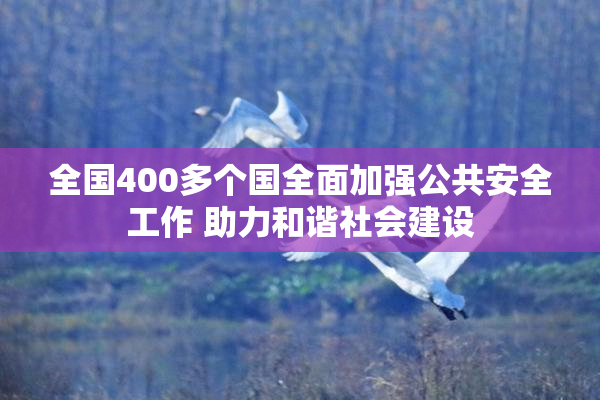 全国400多个国全面加强公共安全工作 助力和谐社会建设