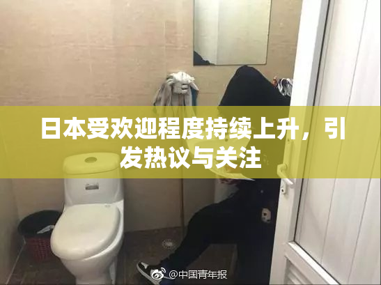 日本受欢迎程度持续上升，引发热议与关注