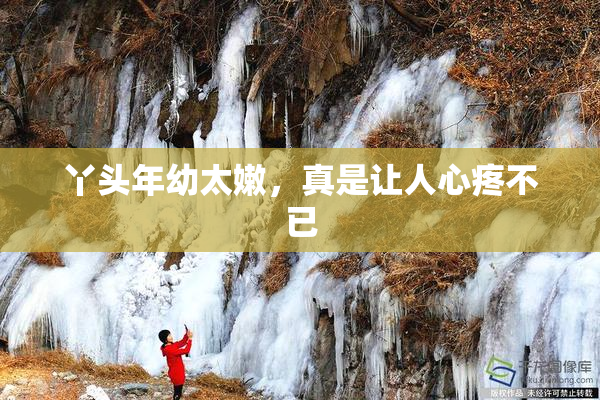 丫头年幼太嫩，真是让人心疼不已