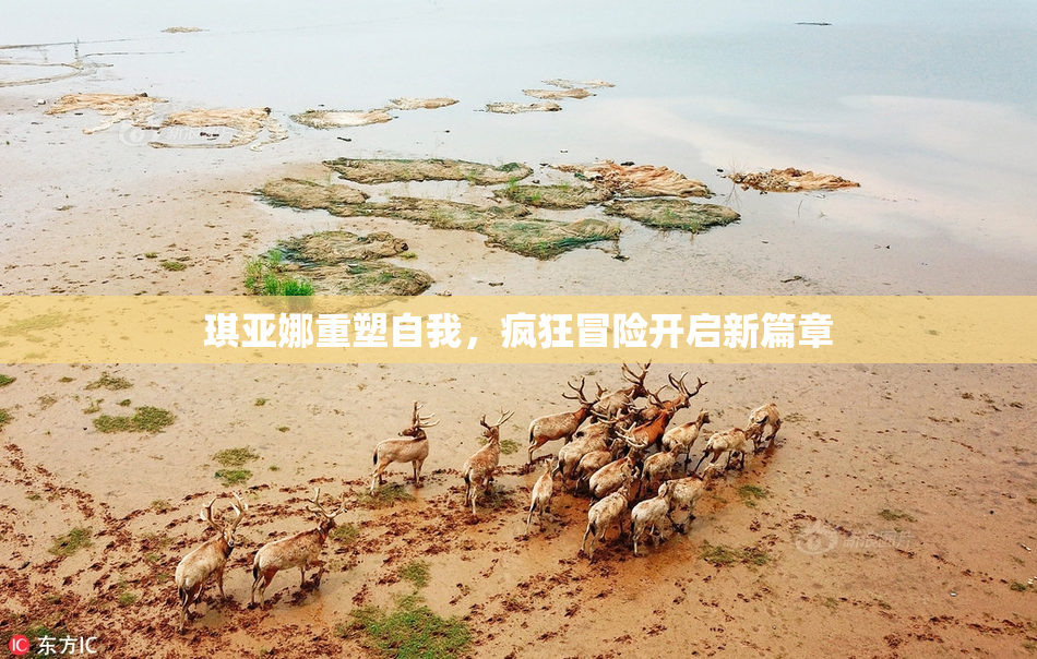 琪亚娜重塑自我，疯狂冒险开启新篇章