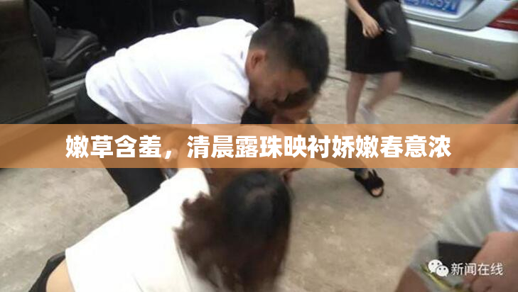 嫩草含羞，清晨露珠映衬娇嫩春意浓