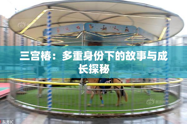 三宫椿：多重身份下的故事与成长探秘