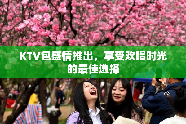 KTV包盛情推出，享受欢唱时光的最佳选择